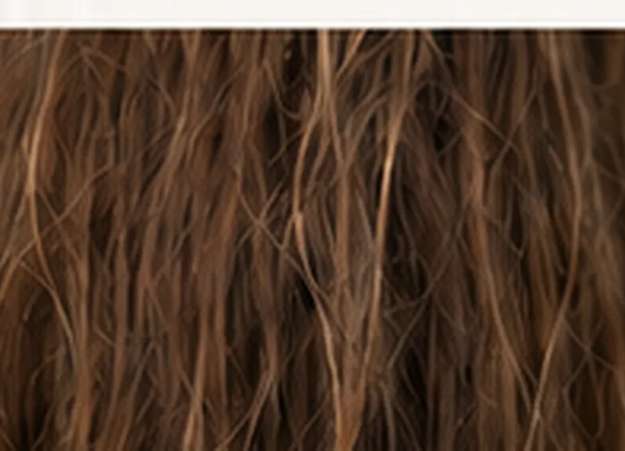 Rough dull damaged hair with dry looking texture